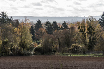 Paysage d'automne près de Crespières dans les Yvelines en France