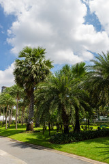 木々・自然あふれる公園・ふれあい