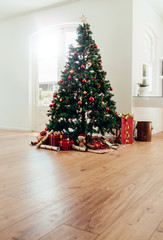 Christmas celebrations with beautifully decorated Christmas tree