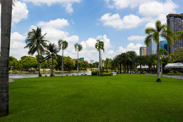 自然あふれる公園・ふれあい