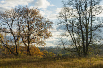 Obraz na płótnie Canvas Autumn Landscape