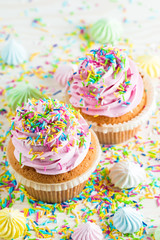 Closeup of cupcakes with vanilla, berries, pink and white cream, chocolate and sprinkles on wooden background. Selective focus. Sweet dessert tasty food concept muffin.