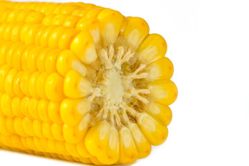 Original wallpaper for desktop. Sliced corncobs macro background pattern