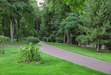 Fototapeta na wymiar Beautiful green park on summer day