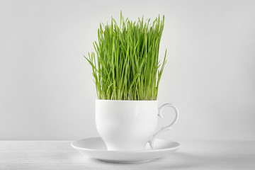 Healthy fresh wheat grass in cup on white background
