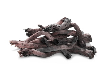 dry branches isolated on white background
