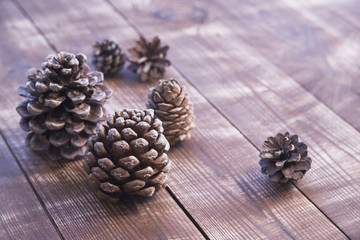Cones of three species of pines on wooden background
