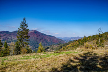 Ukrainian Carpathian Mountains in the autumn season