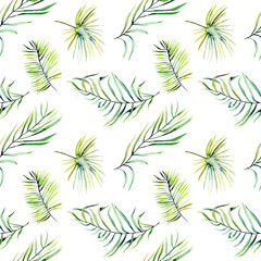Watercolor green tropical palm leaves and fern branches seamless pattern, hand painted isolated on a white background