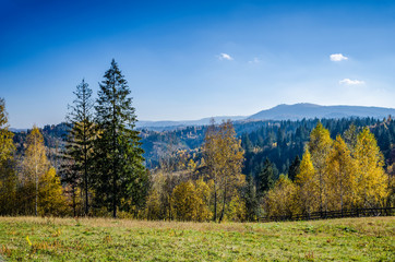 Fototapeta premium Ukrainian Carpathian Mountains in the autumn season