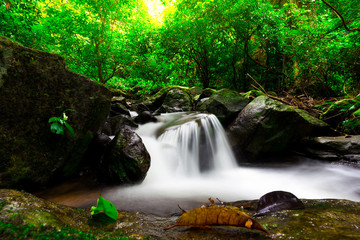 The landscape photo, beautiful waterfall in rainforest, kokedok waterfall in Saraburi, Thailand