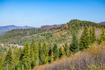Ukrainian Carpathian Mountains in the autumn season