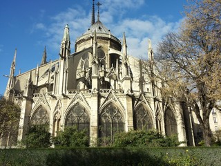 notre dame