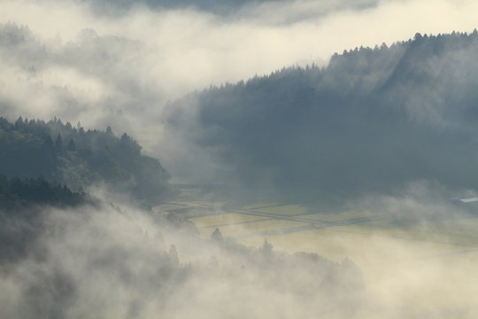 里山の夜明けと朝霧　眺海の森　Chokainomori, Shonai, Yamagata, Japan