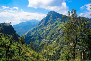 Fototapeta na wymiar Ella Peak Mountain in Sri Lanka