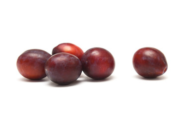 Plums on white background