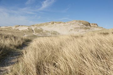 Dunes on Holmsland Klit in Denmark.