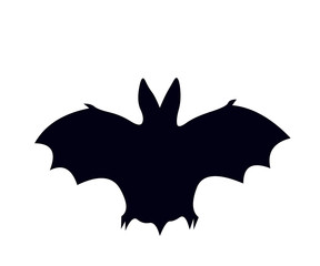 Pipistrello notturno con ali spiegate