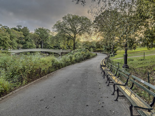 Bow bridge Central Park