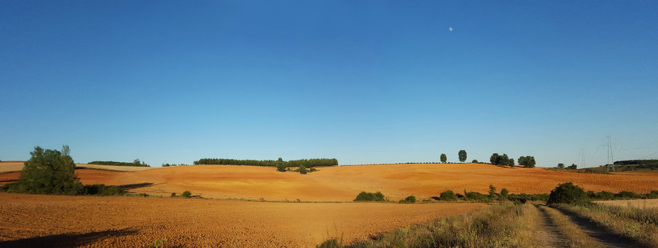 Vista panor&aacute;mica de Tierras de Cultivo Aradas Recientemente y camino de acceso