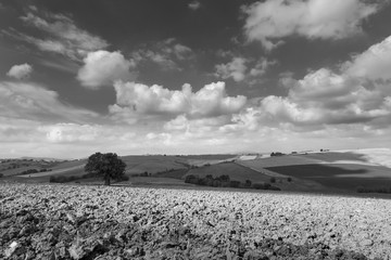 Black and white landscape in a day of september, plowed fields and sky with clouds