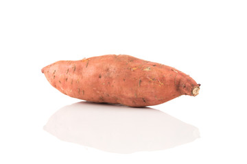 Sweet potato on the white background