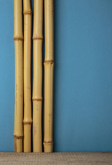 dry bamboo stalks