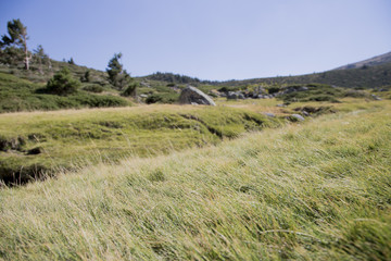 Fototapeta premium Ruta por el campo