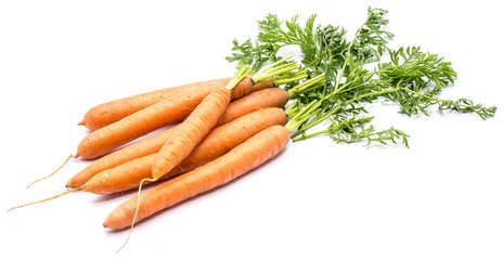 Group of fresh long orange carrots with leaves isolated on white background