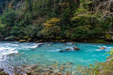Прозрачная вода горной речки на фоне деревьев ранней  осенью © isuhi