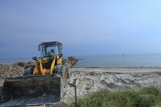 Hurricane Irma Clean Up In Key West Florida