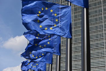 europe drapeau etoile CEE communaute commission parlement europeen  institutions politique...
