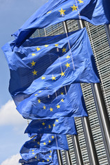 europe drapeau etoile CEE communaute commission parlement europeen  institutions politique Berlaymont Brexit berne deuil - obrazy, fototapety, plakaty