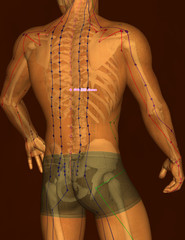 Drawing Acupuncture Point with Skeleton GV8 Jinsuo, 3D Illustration, Brown Background