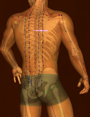 Drawing Acupuncture Point with Skeleton GV10 Lingtai, 3D Illustration, Brown Background