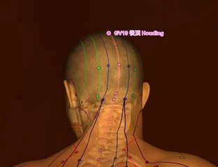 Foto op Plexiglas Drawing Acupuncture Point with Skeleton GV19 Houding, 3D Illustration, Brown Background © Milos Vymazal