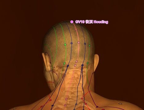 Drawing Acupuncture Point with Skeleton GV19 Houding, 3D Illustration, Brown Background