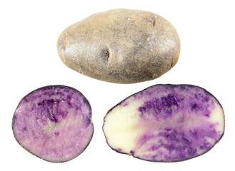 Raw blue potatoes isolated on white background