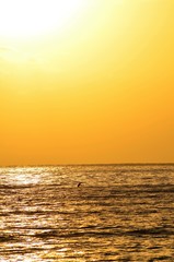 Taking an early morning paddle, during an amazing sunrise in Hawaii