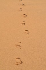 Fototapeta na wymiar Footprints in brown sand along a Hawaiian beach