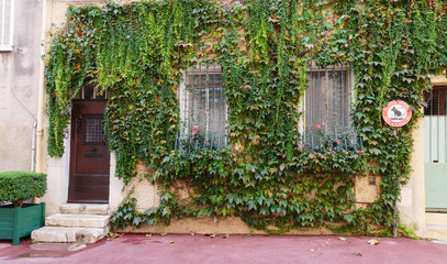Fototapeta na wymiar Entrance to the old house overgrown with ivy, French Provence