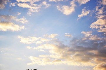 Morning Sunrise with a perfect blue but cloudy sky.