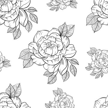 Peony seamless pattern. Floral vector background