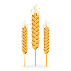 Golden Organic Bread Spikes Isolated Illustration