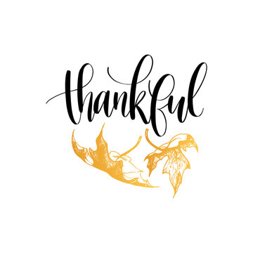 Thankful vector lettering on white background. Maple leaves illustration for Thanksgiving invitation or greeting card.