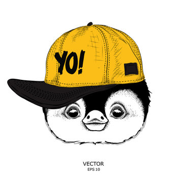 The poster with the image penguin portrait in hip-hop hat. Vector illustration.