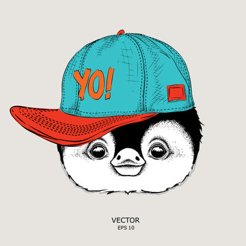 The poster with the image penguin portrait in hip-hop hat. Vector illustration.