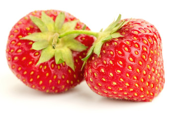 two berries of ripe juicy strawberries