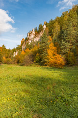 Autumn in Poland, cliffs in Dolina Kobylanska (Kobylanska Valley) near Krakow