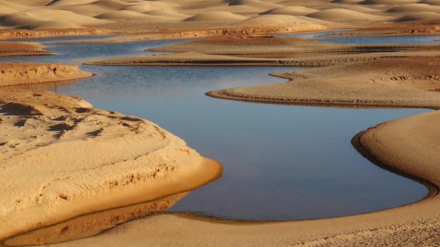Oasi e dune del deserto Sahara